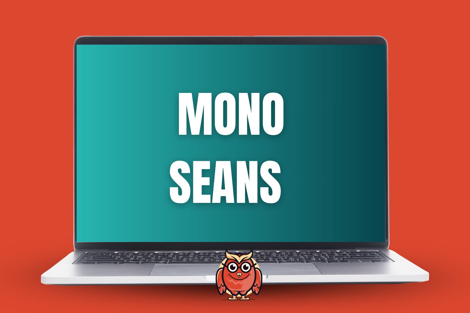 Mono Seans YKS- LGS